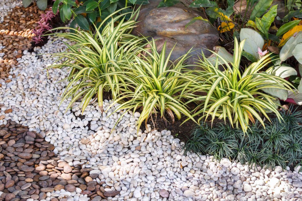 Outdoor-Image-012